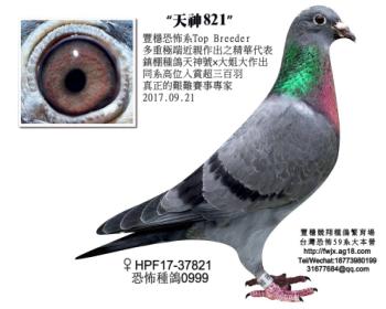 天神821