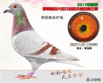 17年秋季四关97名