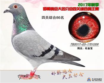 17年秋季四关86名
