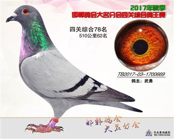 17年秋季四关78名
