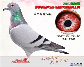 17年秋季四关74名