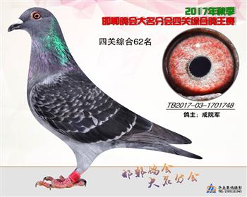 17年秋季四关62名