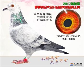 17年秋季四关50名