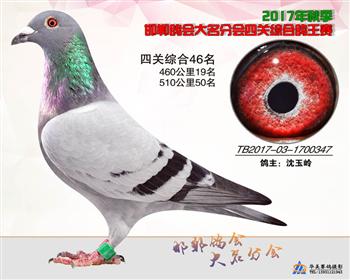 17年秋季四关46名