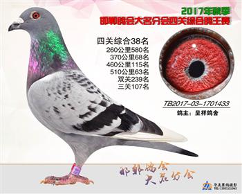 17年秋季四关38名