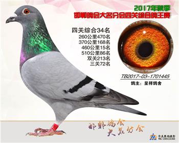 17年秋季四关34名
