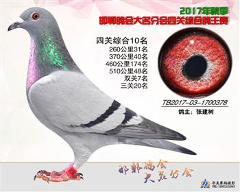 17年秋季四关10名