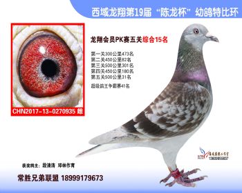 信鸽拍卖首页 拍卖专题 查看拍卖商品  西域龙翔俱乐部会员pk赛15名
