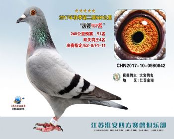 江苏淮安四方赛鸽俱乐部-中国信鸽信息网各地公棚