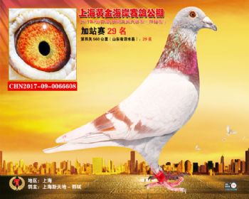 上海黄金海岸秋棚2017年加站赛1—100名