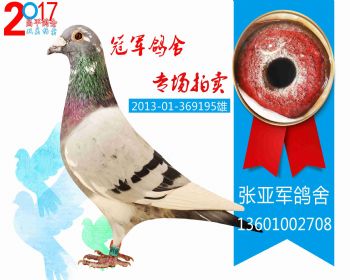 泰达公棚224名 201301369195雄