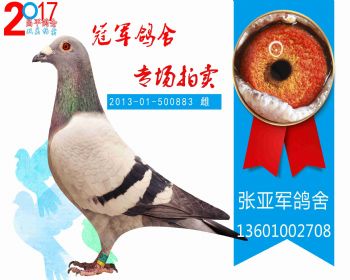 昌平550公里27名 201301500883 雄