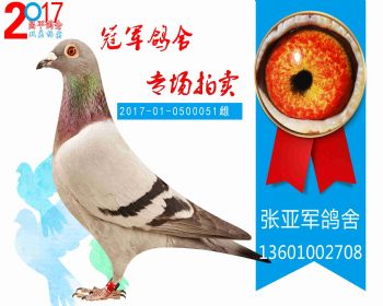 昌平91名 2017010500051 雌