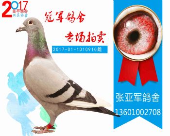 昌平325名 2017011010910 雌