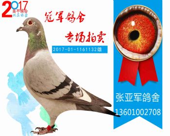 金母X恩格斯 2017011161132 雄