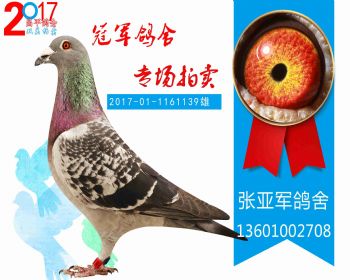 胡本X凡龙 2017011161139 雄