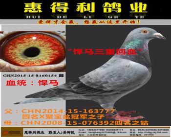 最高辈分悍马祖孙回血直女