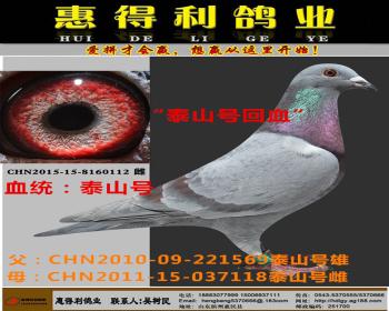 泰山号回血