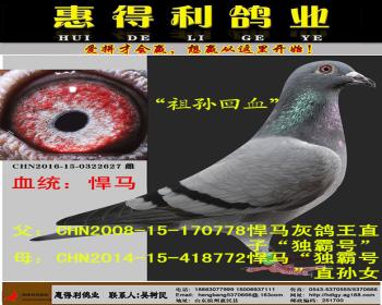 最高辈分悍马祖孙回血直女
