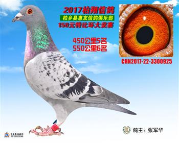 613935 150元特比·450公里5名·550公里6名 俱乐部:河北省柏乡县