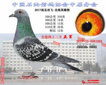 来自同一鸽舍