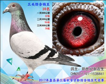 10名新世纪张连生参考雄