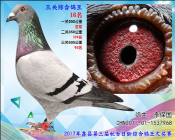 16 李保国飞戈x詹森参考雄