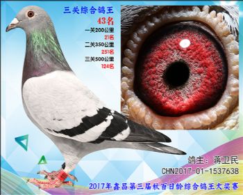43 蒋卫民参考雌