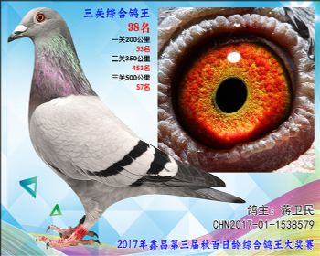 98 蒋卫民参考雌