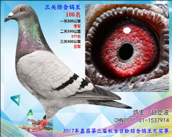 106 赵立波戈马利X胡本参考雌