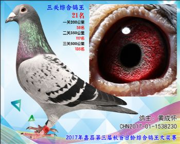 21 黄成怀荷兰科尔,可韩纳哈夫参考雌