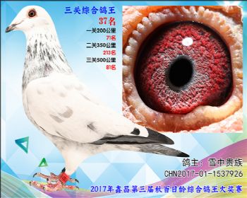 37 雪中贵族(詹吉X詹森凡龙)参考雄