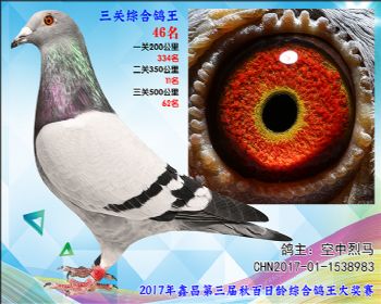 46 空中烈马参考雄