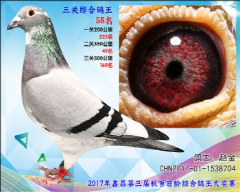 58 赵金胡本X戈马利参考雄