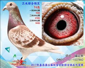 74 福运来参考雌