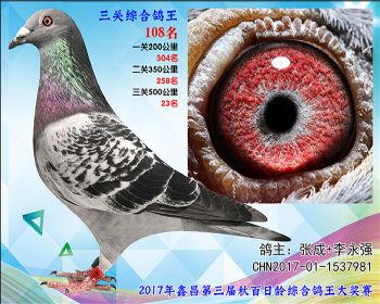 108 张成+李永强艾迪夏拉肯X赫伯特参考雌