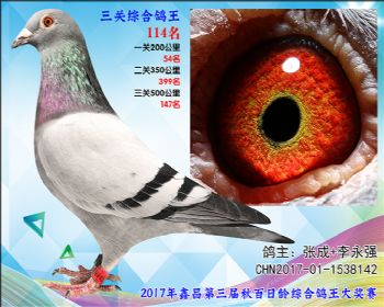 114 张成+李永强艾迪夏拉肯X赫伯特参考雄
