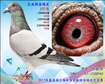 127 孙新华超级飞乐参考雌