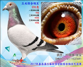 131 YF随缘+张宝速霸龙参考雄