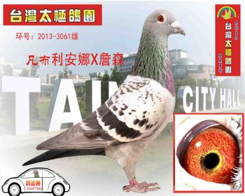 凡布利安娜X詹森 20133061 雄