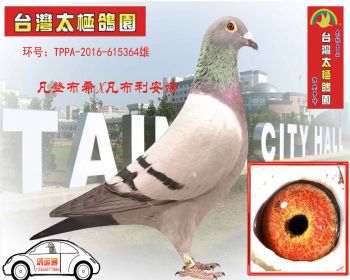 凡登布希X凡布利安娜 TPPA2016615364 雄