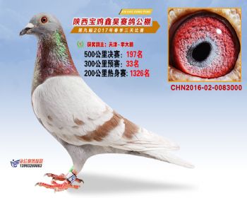 陕西宝鸡鑫昊公棚2017年第九届决赛:第197名