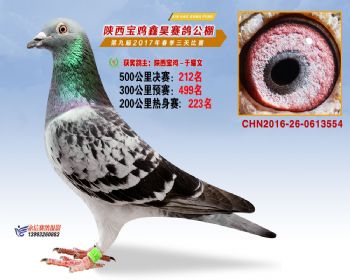 陕西宝鸡鑫昊公棚2017年第九届决赛:第212名