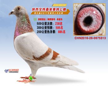 陕西宝鸡鑫昊公棚2017年第九届决赛:第238名