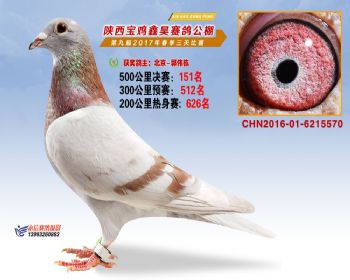 陕西宝鸡鑫昊公棚2017年第九届决赛:第151名