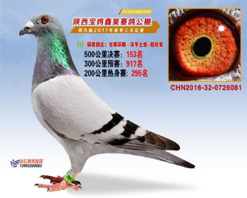 陕西宝鸡鑫昊公棚2017年第九届决赛:第153名