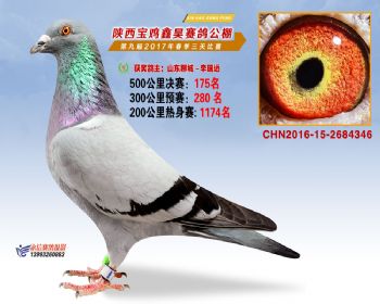 陕西宝鸡鑫昊公棚2017年第九届决赛:第175名