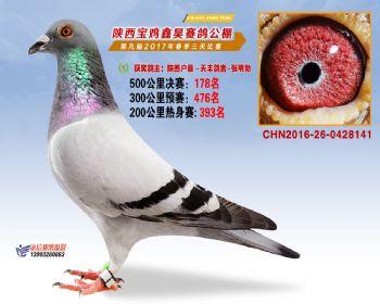 陕西宝鸡鑫昊公棚2017年第九届决赛:第178名