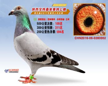 陕西宝鸡鑫昊公棚2017年第九届决赛:第109名