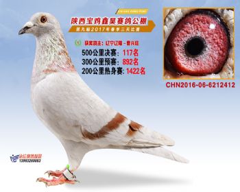 陕西宝鸡鑫昊公棚2017年第九届决赛:第117名